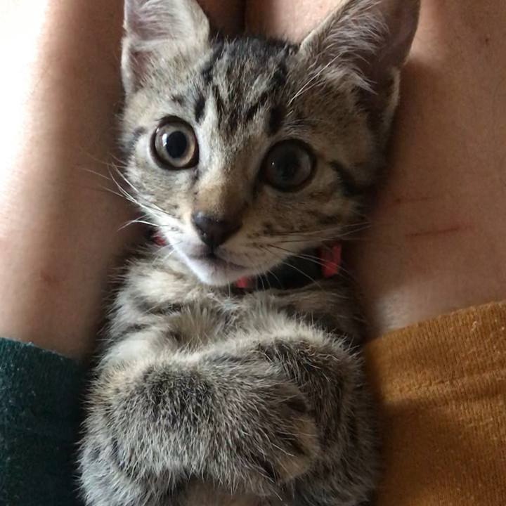 Aa323e60 7fba 487a 8bd1 6c31d7b1b273 1562745302947