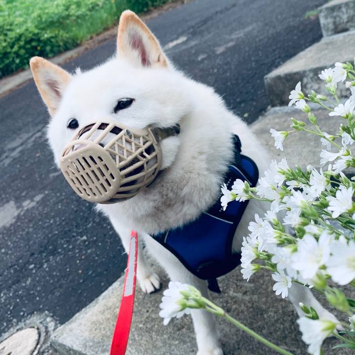 Aa326fbc 1b7c 4caf 9a2b d7f994e514a7 1621818738893