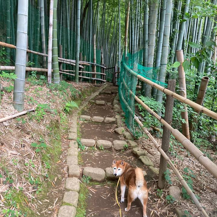 Aa3280c6 7308 44ba 8be4 d4c09d902ef0 1654920329540