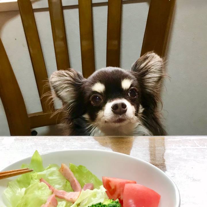 Aa32bd10 eb9b 411c 9511 2421817471b4 1582338465833