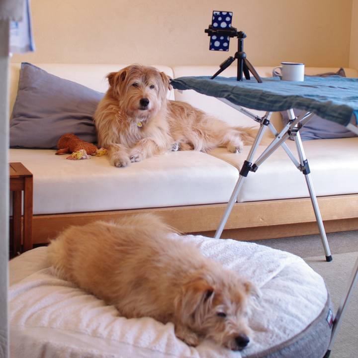 Aa32d612 bc52 45ff 9564 1295a57aca8b 1587027879142