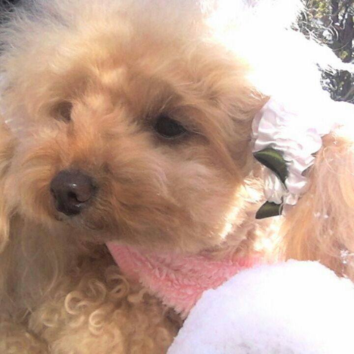 Aa334bfb f003 49ca ab79 1a507f912bfa 1545972466552