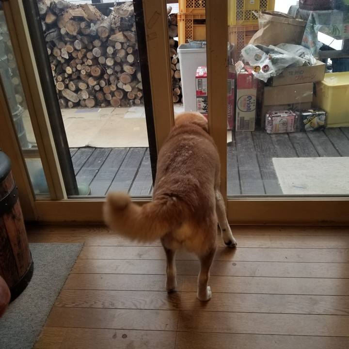 Aa336014 57de 47ac 893c a159b019e8b5 1738457243981