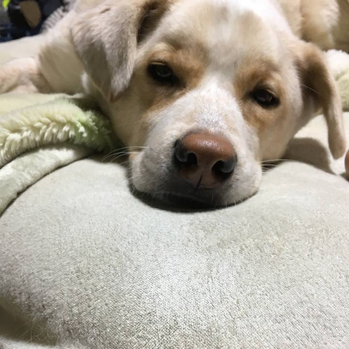 Aa337ac2 f21d 4ca2 b56c 584a898a2aa7 1515417432399