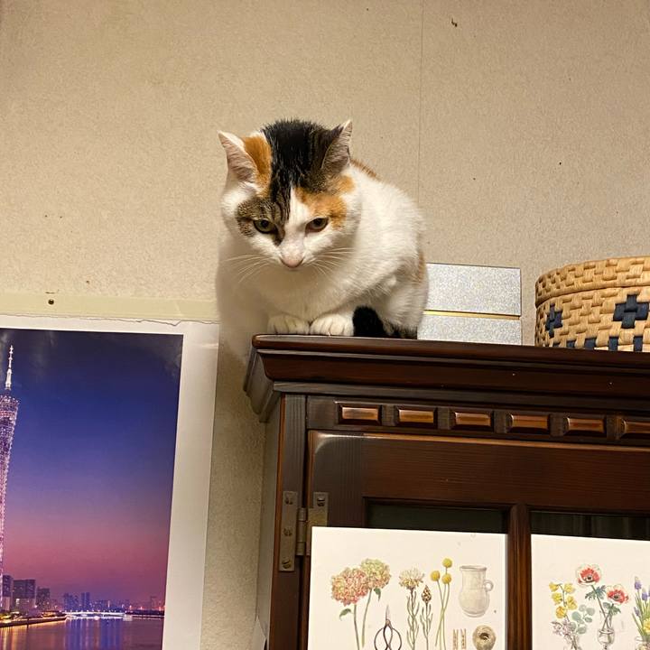 Aa337c74 2fe1 44d4 a42f 7905fb1eab5a 1762176581255