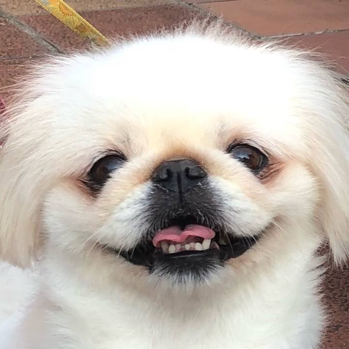 Aa3384e7 39c7 4741 b4d9 8bce8fad8932 1539733639436