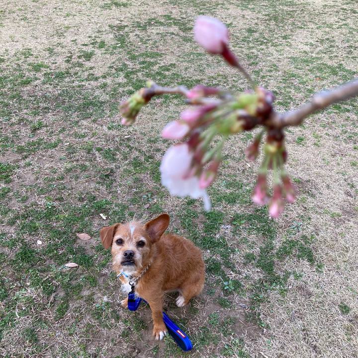 Aa33c1b3 548c 4e56 81ea fc701049809e 1616153120377