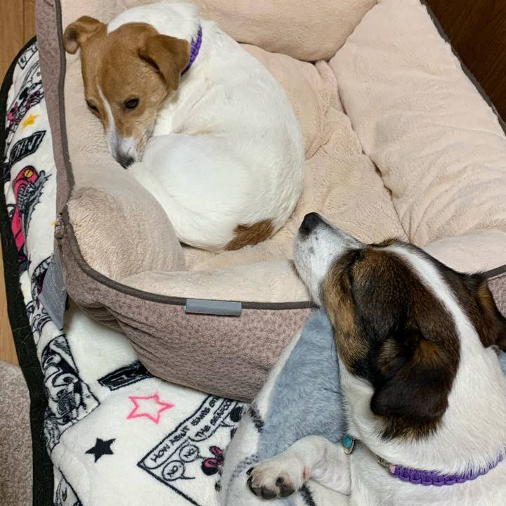 Aa33c680 7a48 4ee6 a9c7 f43432ba2a92 1574072439069