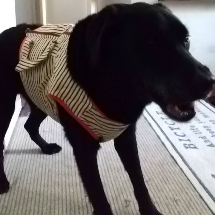 Aa33df06 44cd 4040 b893 9669a70683d3 1694311518991