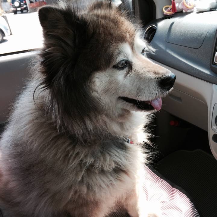 Aa341f9f c6cc 4f43 97b9 93f10b7abb00 1630111778571