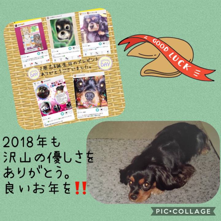 Aa343d41 843d 4f88 8a7b 7f17b583416c 1546229988264