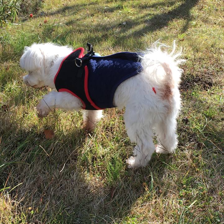 Aa3452f4 8e38 4dec 9305 9ac7cb743246 1637987917614