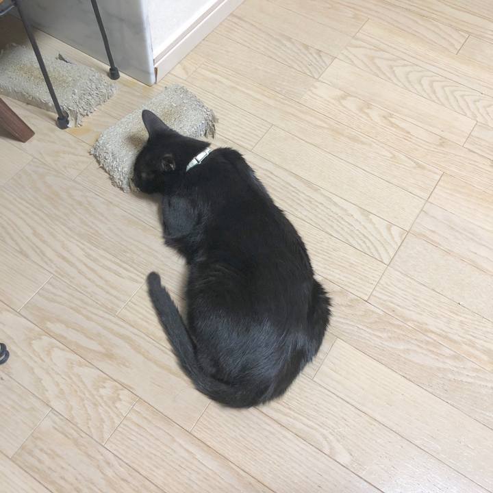 Aa345f8d b33f 44ab a10e 6b30b3ff68f2 1595843880996