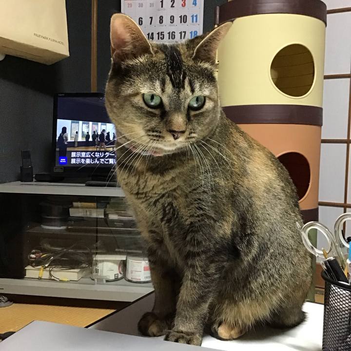 Aa3482d3 ccf3 44f7 82c8 ac61b1128da2 1699013538297