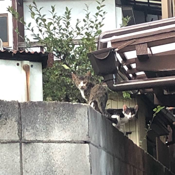 Aa348bc3 049b 4a9a 91ac 5cc8b9866b2b 1565554013340