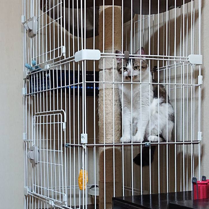 Aa34b140 5219 44db 97a7 3864040d10a4 1572392690450