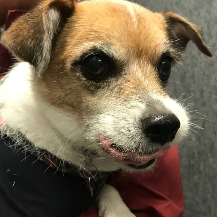 Aa34c461 6653 4652 b2da 823ac183129e 1572854865172