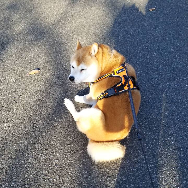 Aa34f56c 47d6 4710 888c d23943bad485 1604557087264