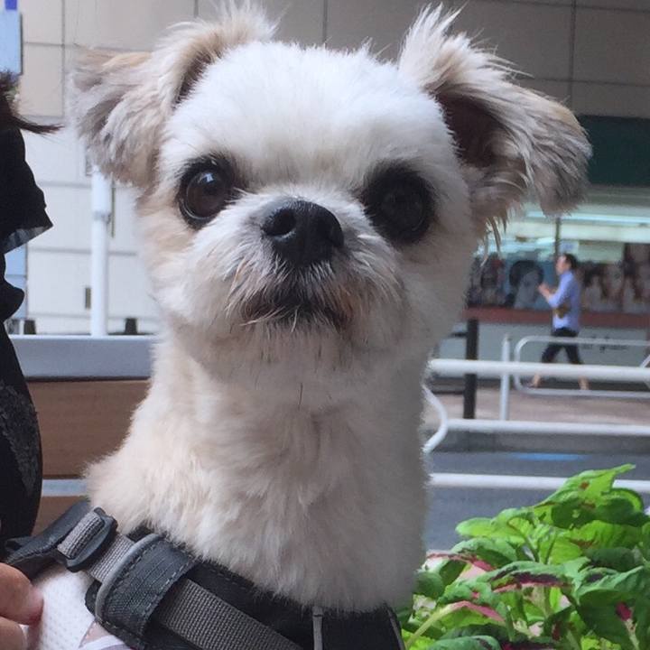 Aa351a50 05f7 4411 b6fb 08e66fb9f0a1 1568448638475