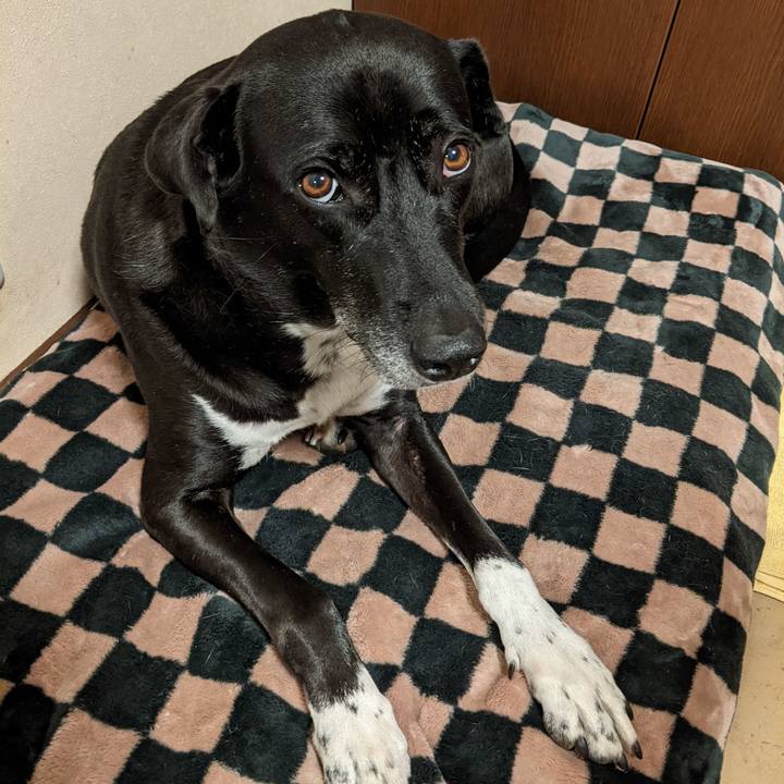 Aa352151 5eda 436c 866d 0f4f5b5ad536 1672225305456