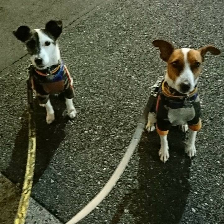 Aa353eae b5b7 4ca9 b873 2c42c0a27a57 1542890078804