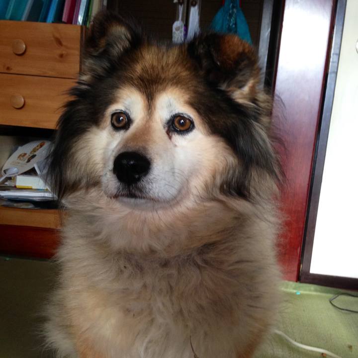 Aa355370 a82d 40ce 9366 d9dcea53a7d7 1549412033401