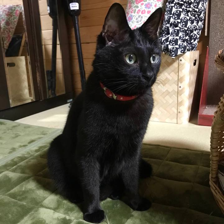 Aa35700b 5f87 4c73 b5af 9d03806f0d35 1524922481284