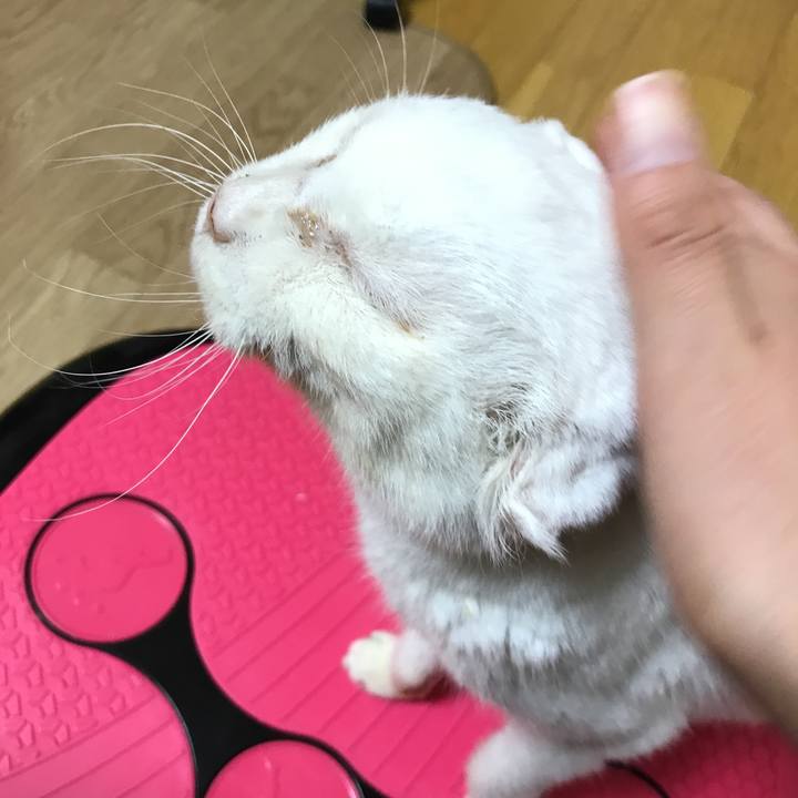 Aa357a6e 6bd1 4a83 9d6e e367578ac53e 1544802764903