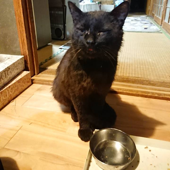 Aa35830a 2de3 4a30 a45d 131fa82f1db8 1624275821243