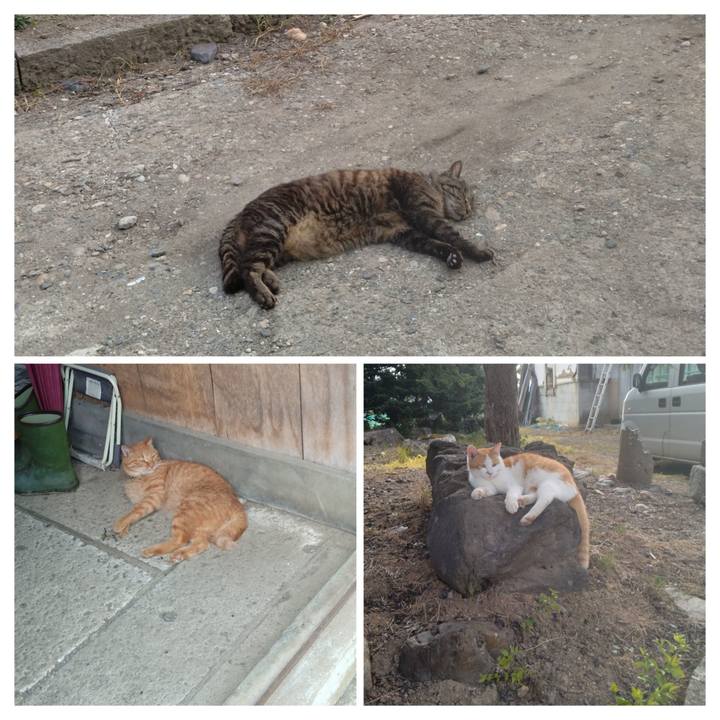 Aa35872e 8f17 41c3 934d 43a5f543c2da 1751622332297