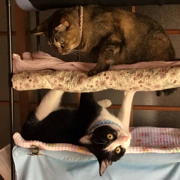 Aa35918c 941c 454f 8d04 84adafe3773c 1660211342884