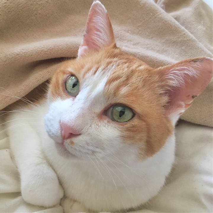 Aa35939f 9b29 4dc4 b305 e7ad475a890d 1585971882291