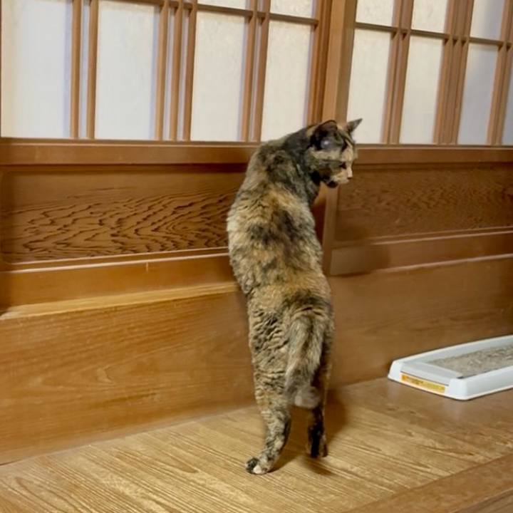 Aa359d1e b449 482a aafa 22a1edb3ae23 1751363912211