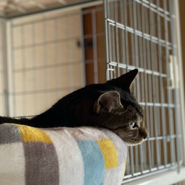 Aa35cce6 2db4 4dce a0d3 34d0e42c9446 1629246383515