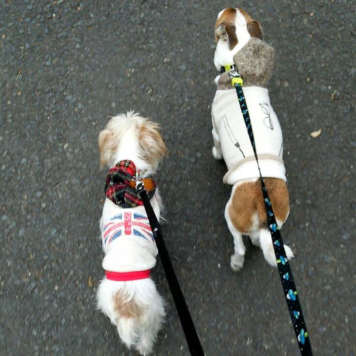 Aa35e089 3fa1 404a a2c1 8bb9bff188ff 1514011388620