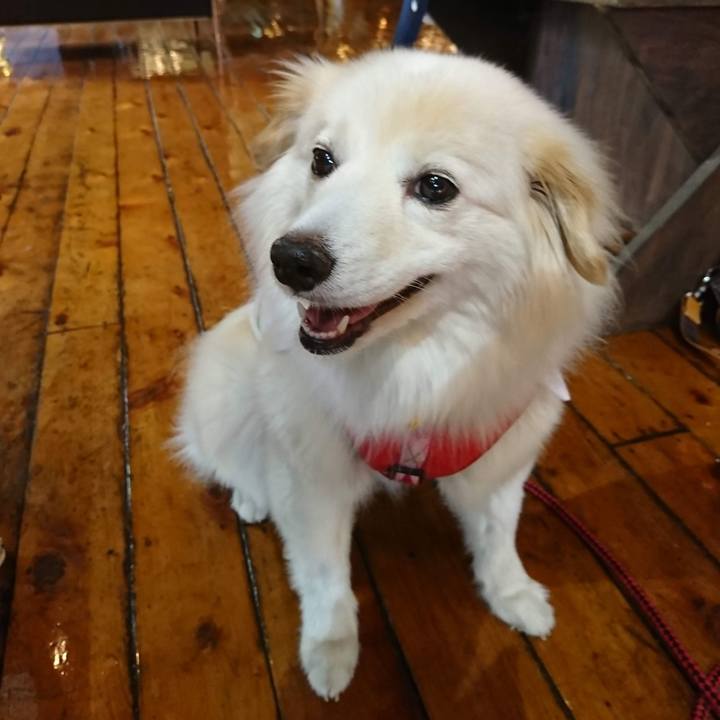 Aa35f683 11e6 4f1f 8369 db04f6a10ab9 1708135685758