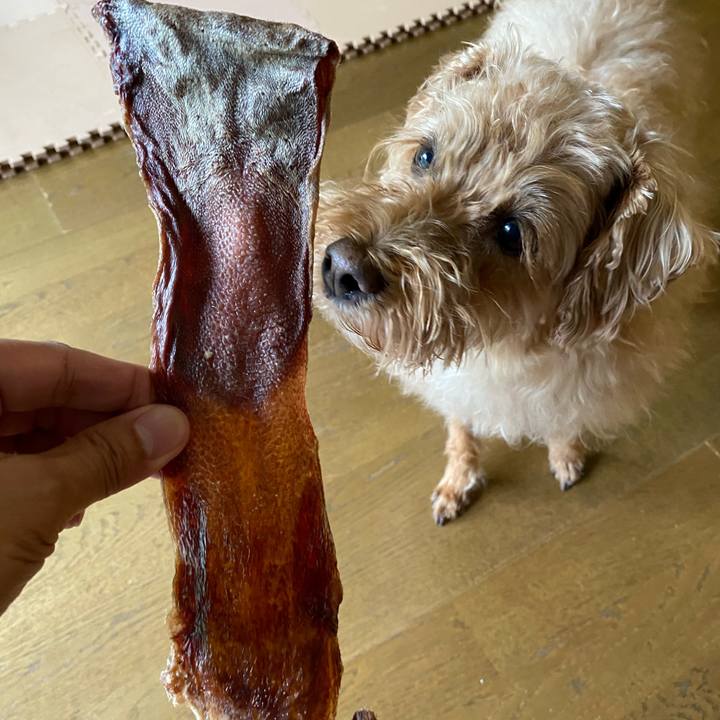 Aa35f83d 6e98 48ff a92e 953bfa4b93db 1654125439001