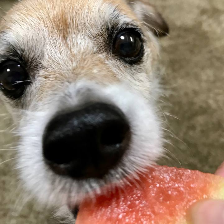 Aa35f9ee 3d4d 40ea 904e 661fffc9318f 1655892006589