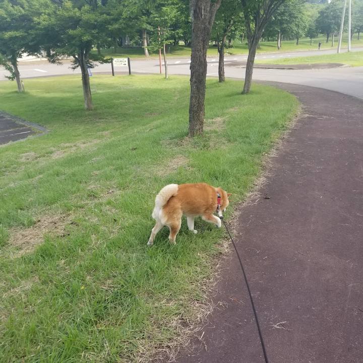 Aa362b5e 7038 4106 b9e6 46317a86d52c 1750061847985