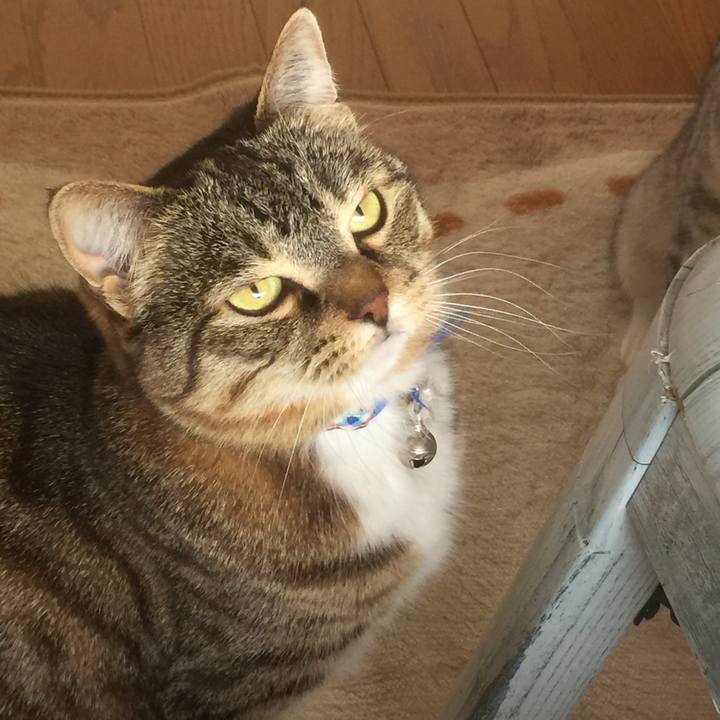 Aa3656aa 4db8 4f81 b67e 02476542079d 1556679053592