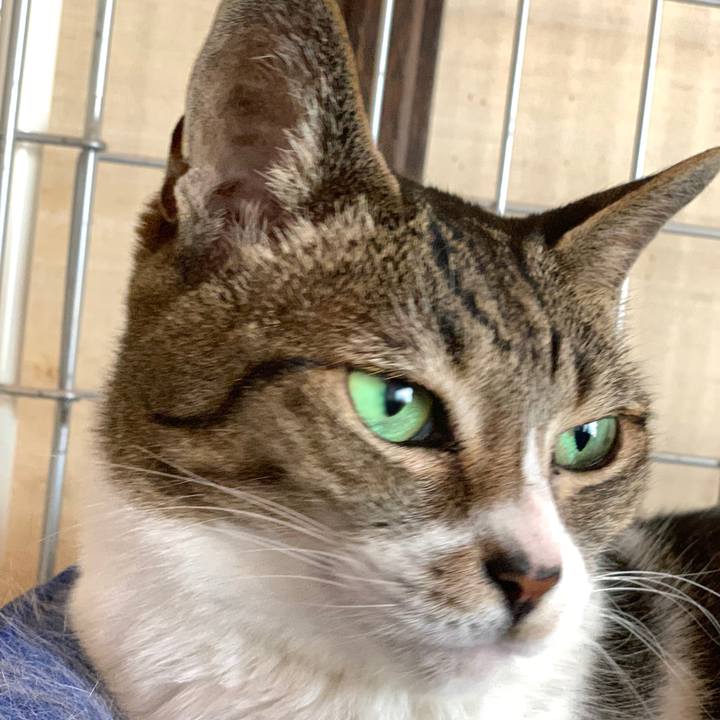 Aa3676f0 d832 443d 9b0d 8c5516b54750 1593479184296