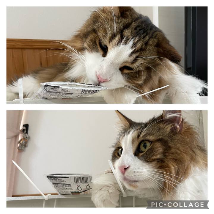 Aa36ab2c 16c8 4a5b 974c 53ac49537aec 1684548595400