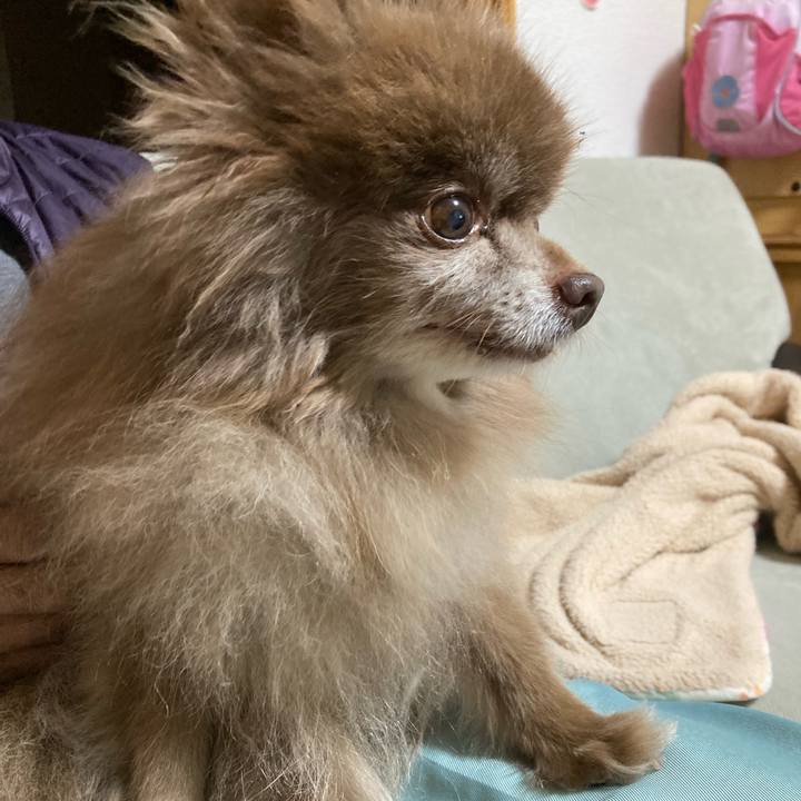 Aa36b2f1 141d 4044 83d4 6b614bb83154 1701929117704