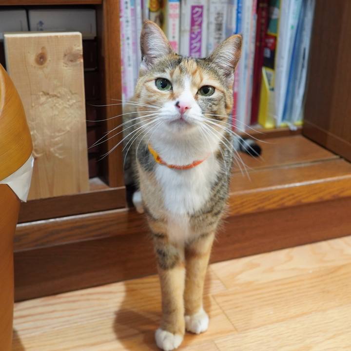 Aa36ee25 315c 45cf bd02 7a6acc20fcc8 1612534500528