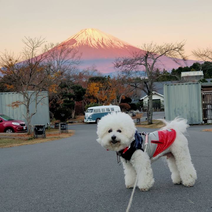 Aa370dff 2020 4f47 8277 c1fb665fa01b 1763068697060