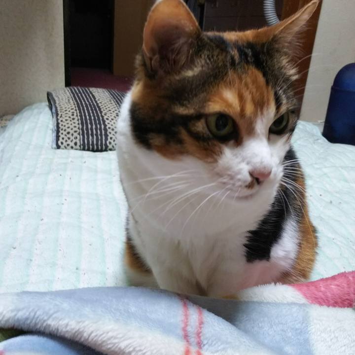 Aa372024 3c80 441d a795 2344a9360a92 1539393916014