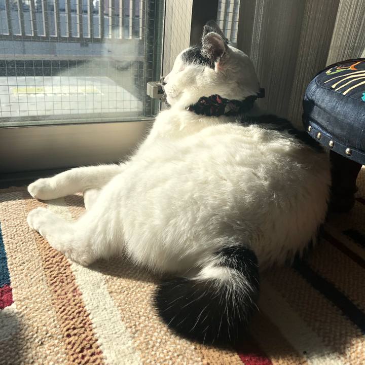 Aa374da0 a6f5 4557 98d2 3b5d35c3ad52 1547874138484