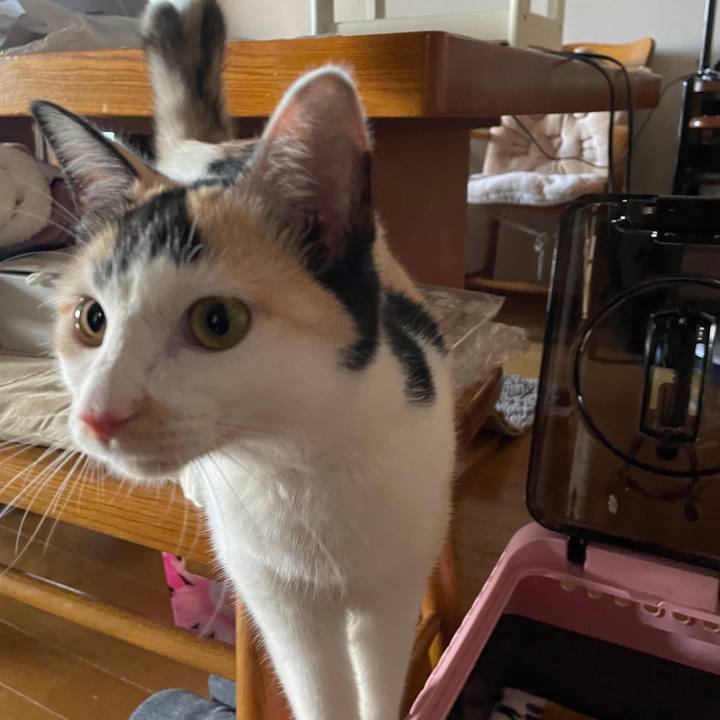 Aa378374 8833 4a62 a372 7fdf1150cd72 1672367712334