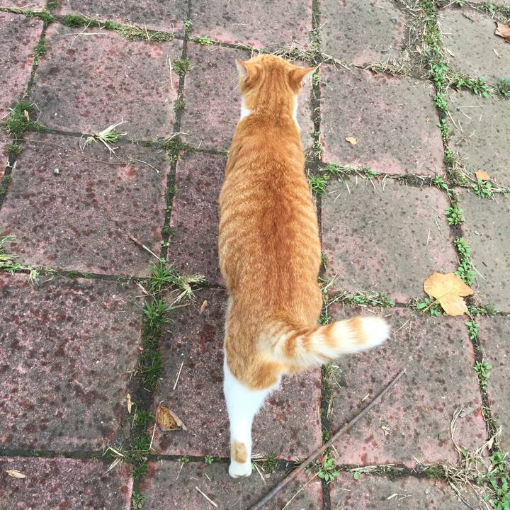 Aa37b930 d463 43a2 aa13 620b2a31960d 1509174756303