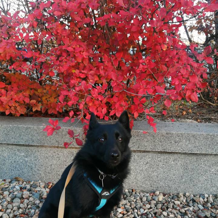 Aa37bb07 19ab 4eb9 805f ee08c10fc444 1672007815871